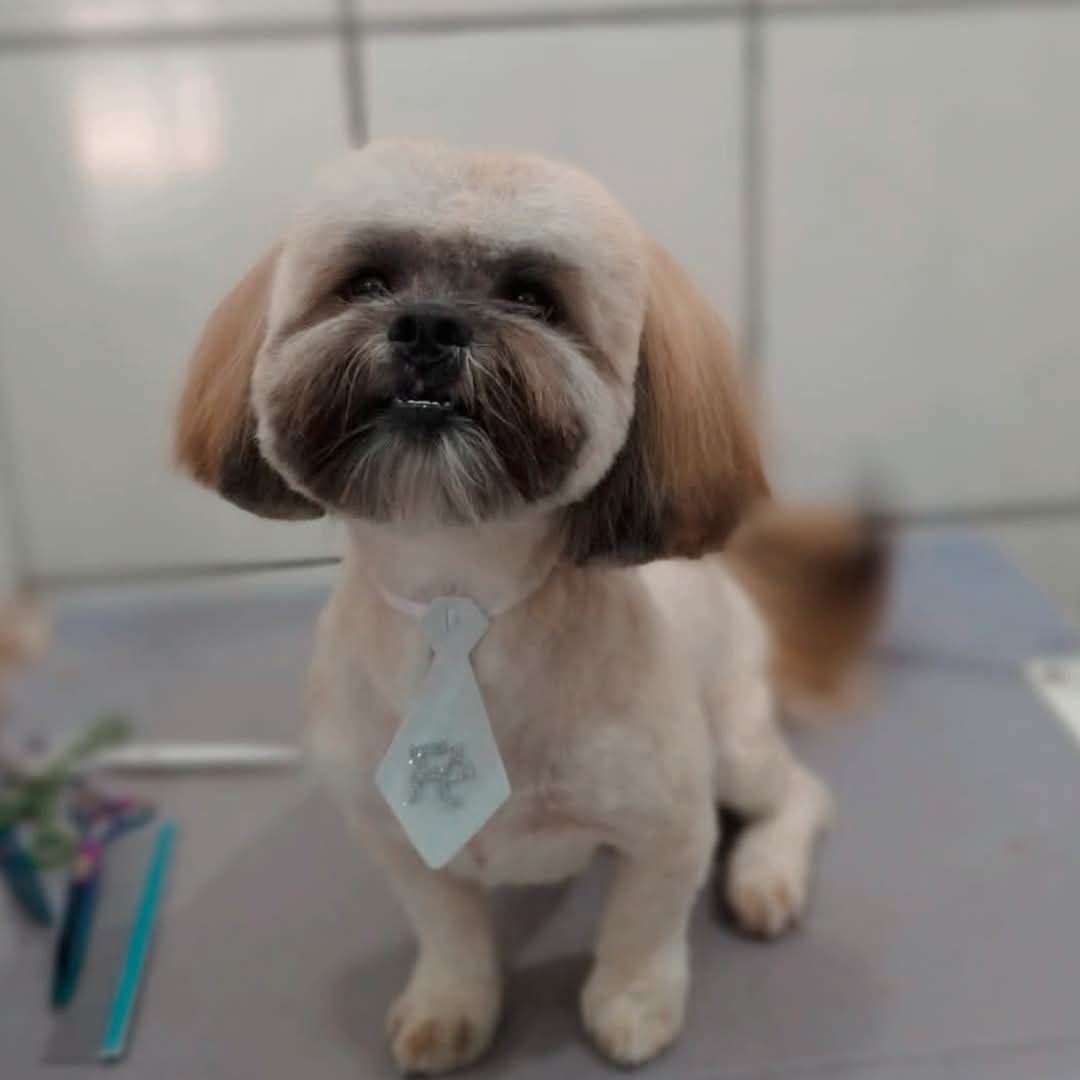 Imagem do serviço