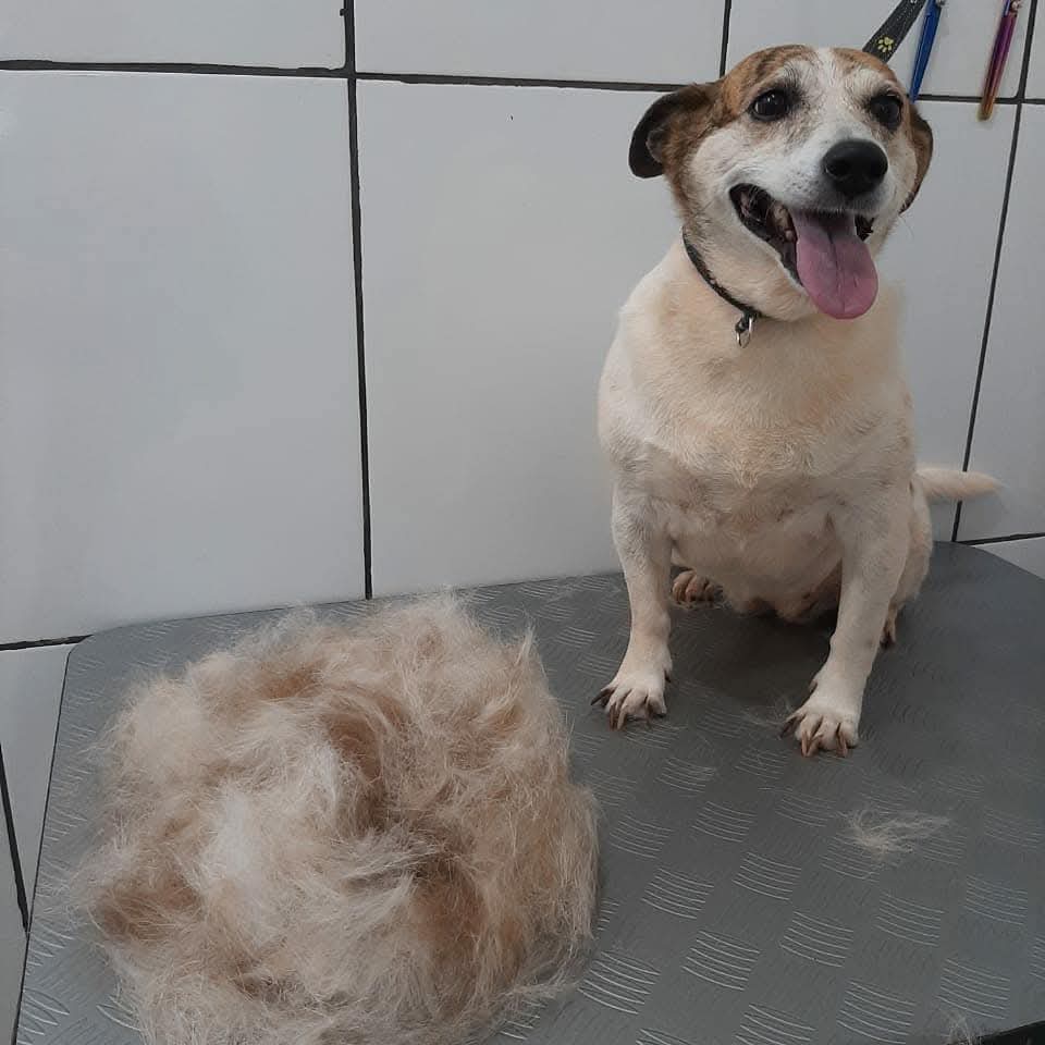 Imagem do serviço