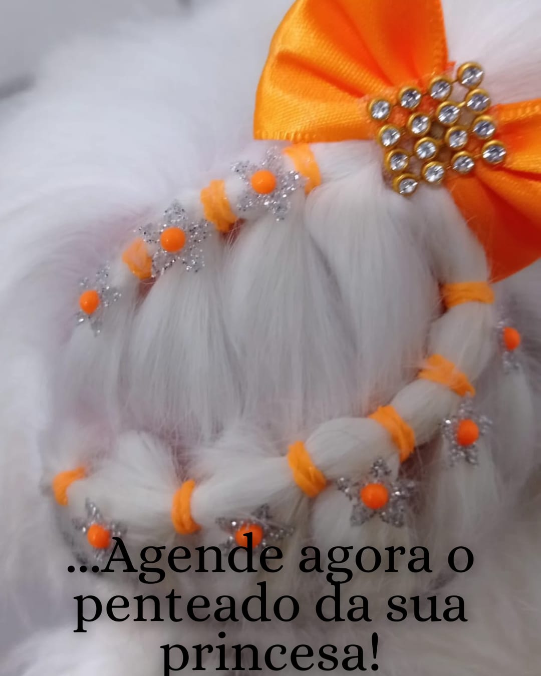 Imagem do serviço