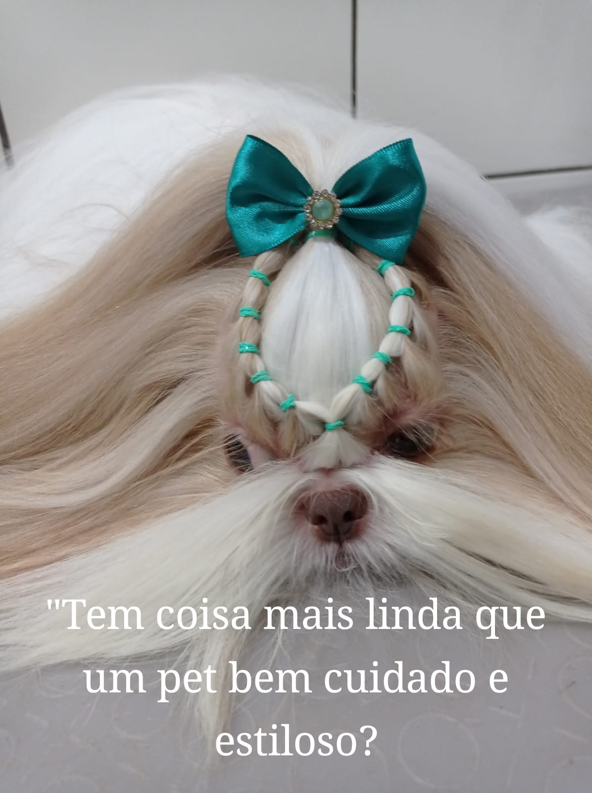 Imagem do serviço