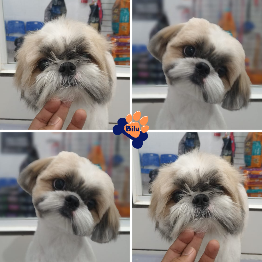 Rostinho Fofinho