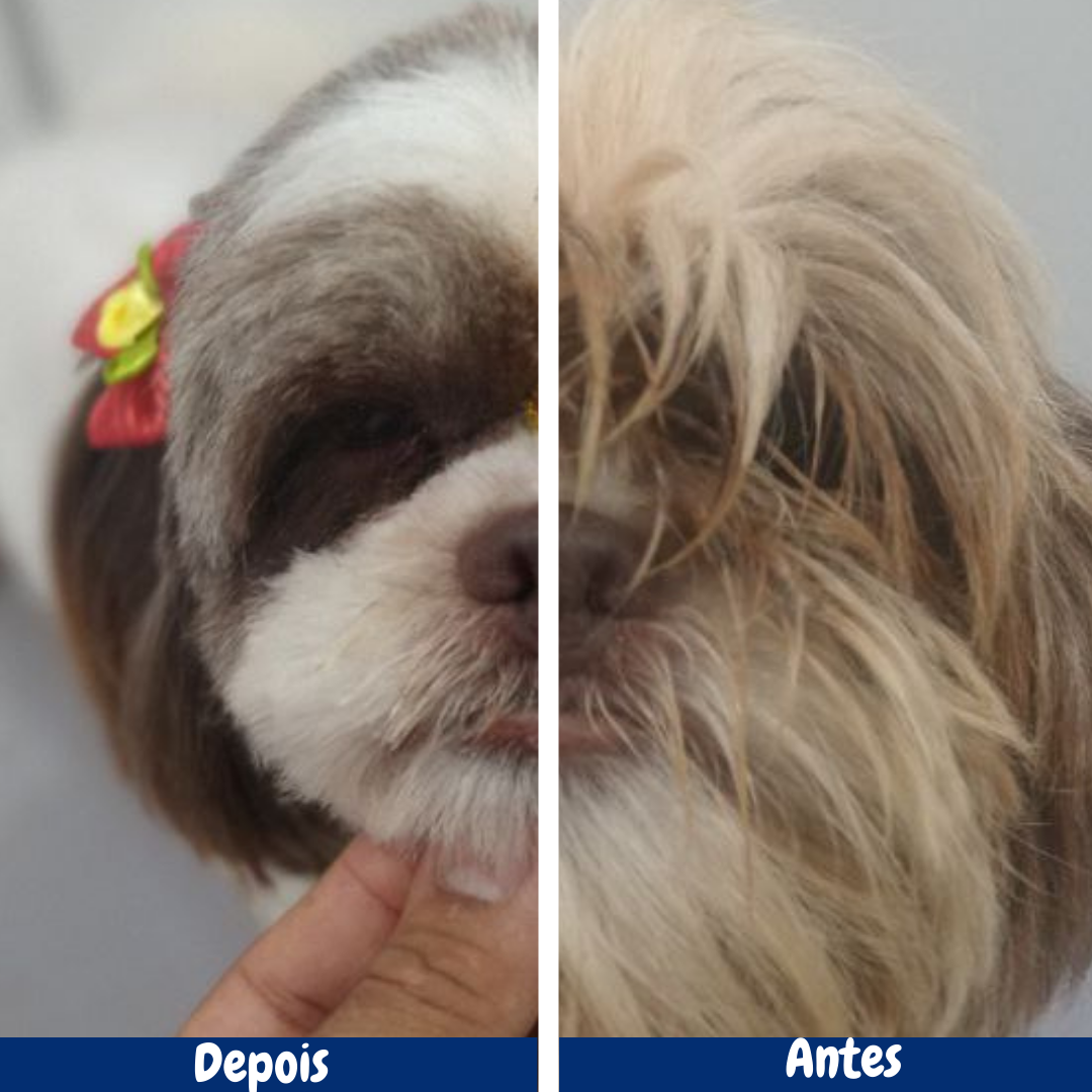 Transformação Duas Caras